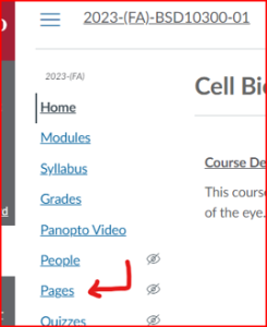 Pages in the Canvas course navigation menu