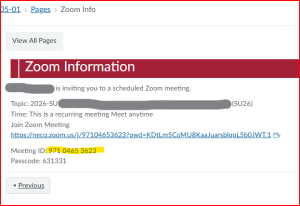 Zoom Info meeting details in Canvas