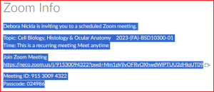 Selected text for Zoom meeting details for copy and paste.