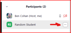 Participants in Zoom with arrow pointing to the "More" menu (three dots)