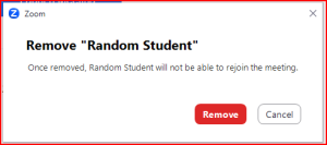 Confirm remove participant pop up window